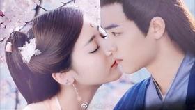 吃瓜小说娱乐圈完结文,瓜田里的甜蜜复仇